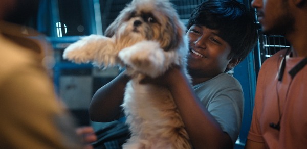 ツーリストファミリー 8枚目の写真・画像