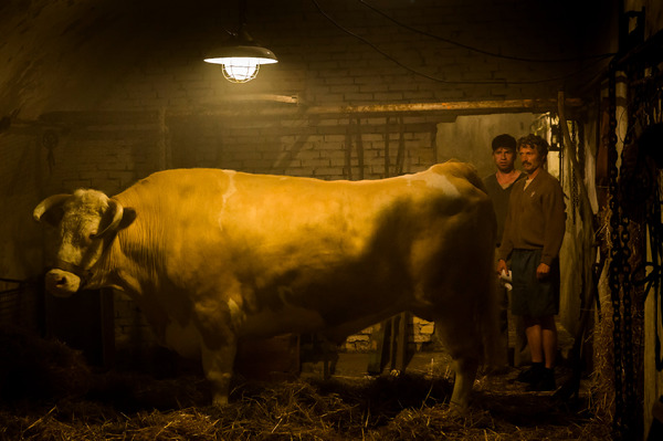 メン＆チキン 8枚目の写真・画像