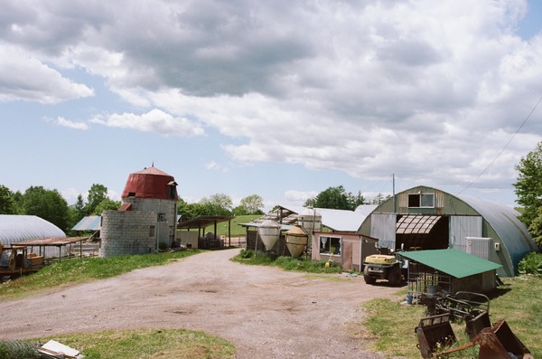 北の食景 12枚目の写真・画像