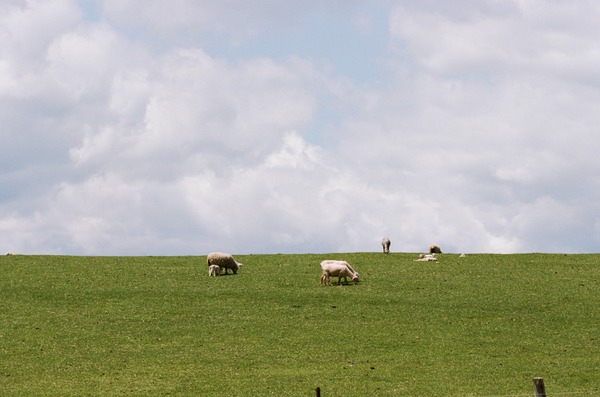 北の食景 13枚目の写真・画像