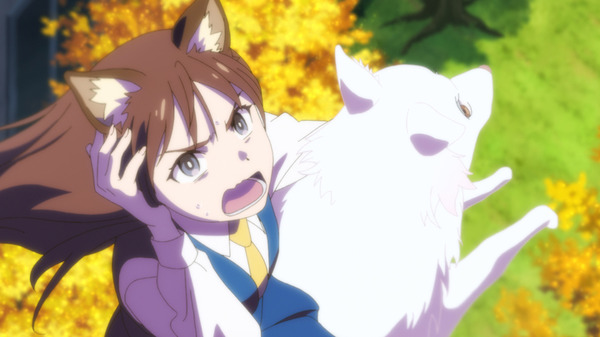 この本を盗む者は 25枚目の写真・画像