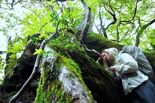 たしかにあった幻 5枚目の写真・画像