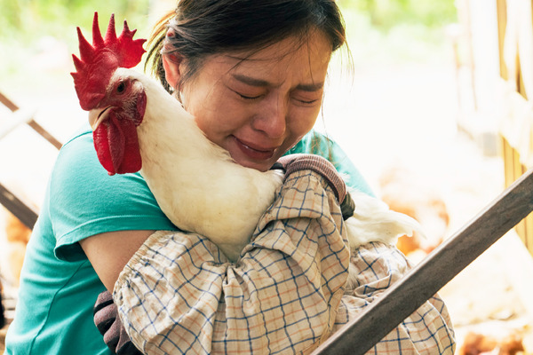 サリー 13枚目の写真・画像