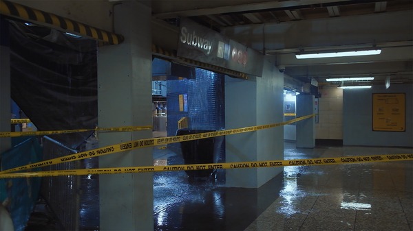 水の中で息をする ―彼女でも彼でもなく― 5枚目の写真・画像