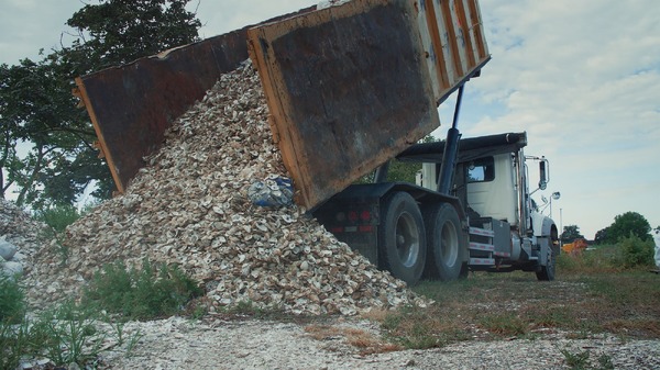 水の中で息をする ―彼女でも彼でもなく― 7枚目の写真・画像