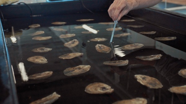水の中で息をする ―彼女でも彼でもなく― 9枚目の写真・画像