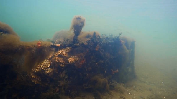 水の中で息をする ―彼女でも彼でもなく― 11枚目の写真・画像