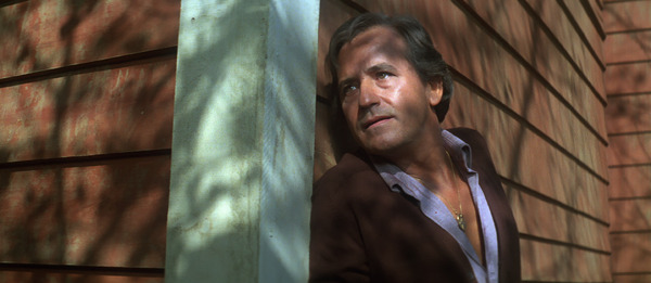 ダーティハンター 10枚目の写真・画像