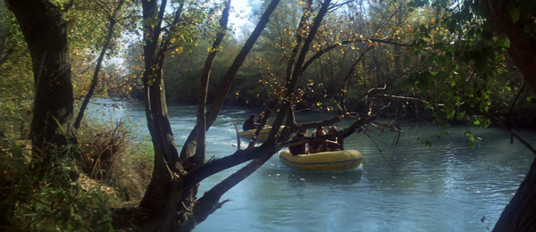 ダーティハンター 11枚目の写真・画像