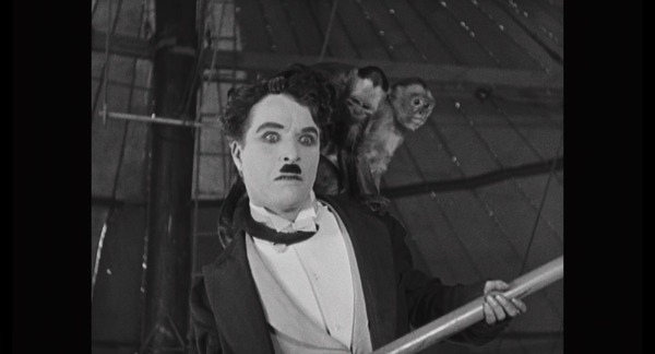 チャップリン 19枚目の写真・画像