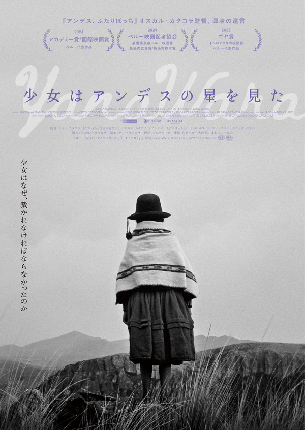 少女はアンデスの星を見た 2枚目の写真・画像