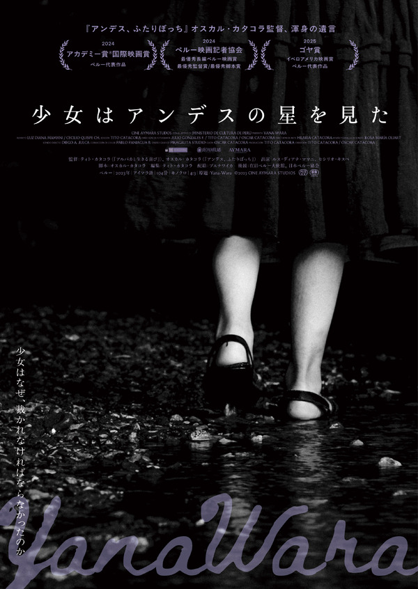 少女はアンデスの星を見た 4枚目の写真・画像