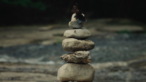 グッドワン 22枚目の写真・画像