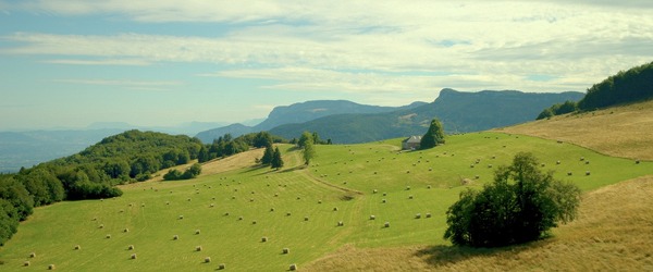 サムシング・エクストラ！ やさしい泥棒とゆかいな逃避行 27枚目の写真・画像