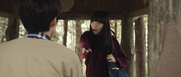 メモリードア 8枚目の写真・画像