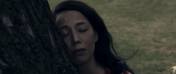 メモリードア 16枚目の写真・画像