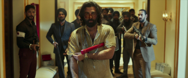 ANIMAL 7枚目の写真・画像