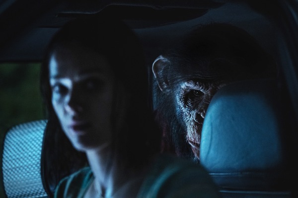 おさるのベン 6枚目の写真・画像