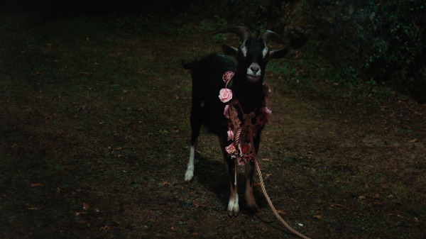 FRÉWAKA／フレワカ 13枚目の写真・画像