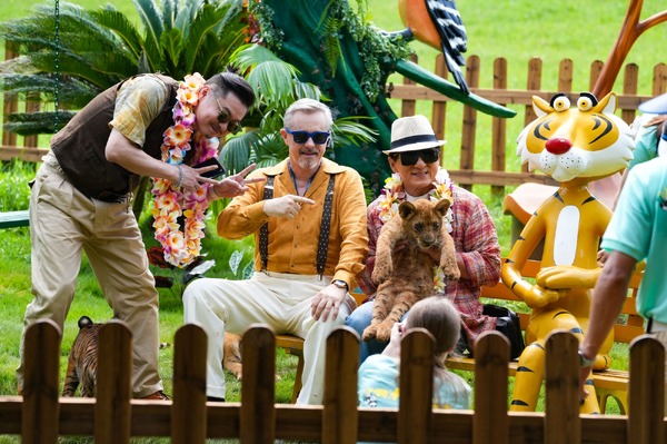 パンダプラン 13枚目の写真・画像