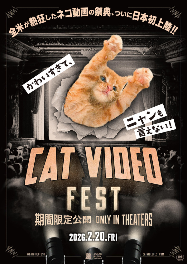 CatVideoFest 1枚目の写真・画像
