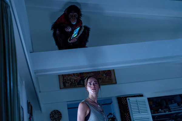 おさるのベン 8枚目の写真・画像