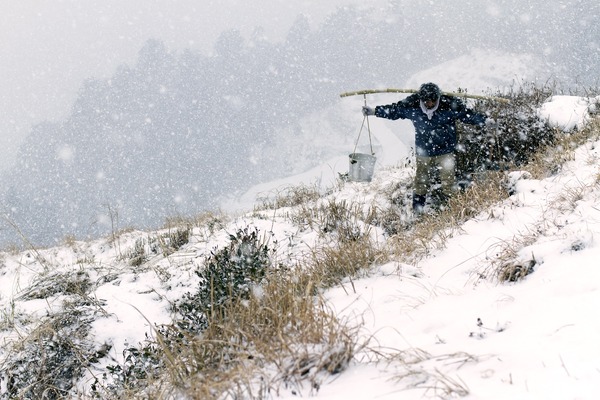祖谷物語-おくのひと- 11枚目の写真・画像