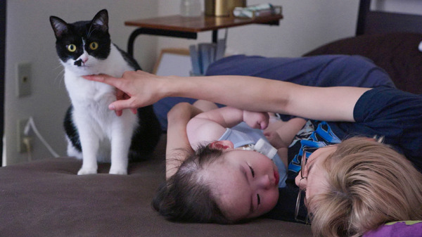 ライフテープ 15枚目の写真・画像