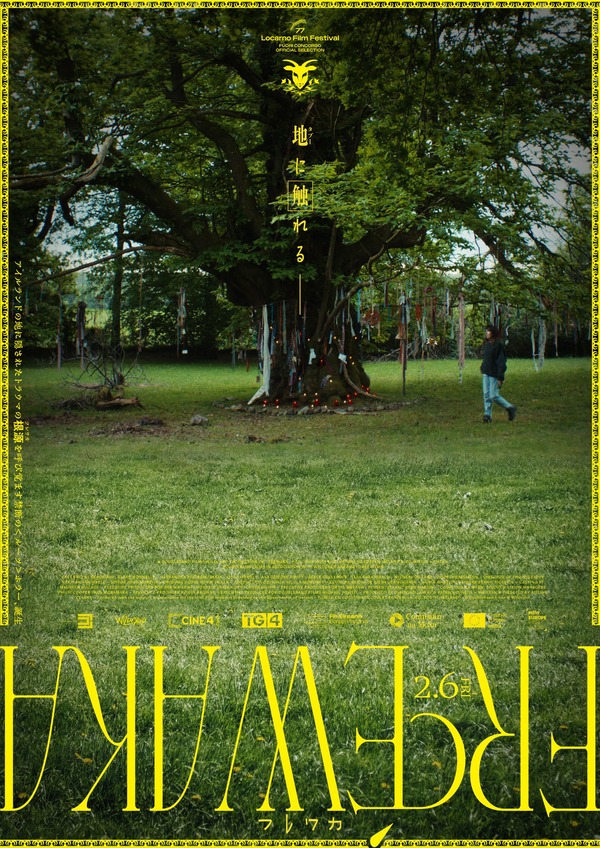 FRÉWAKA／フレワカ 4枚目の写真・画像