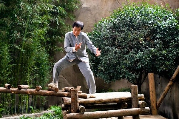 パンダプラン 14枚目の写真・画像