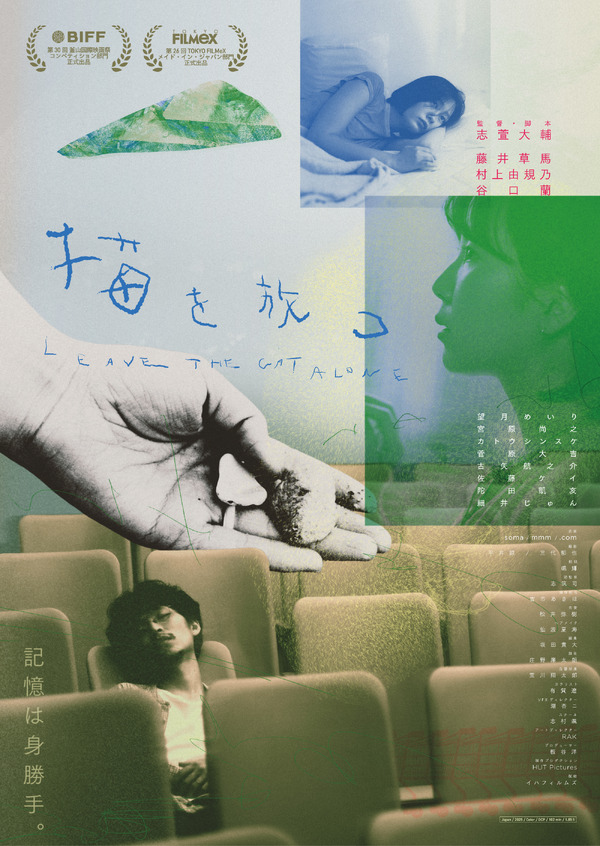 猫を放つ 1枚目の写真・画像