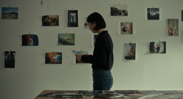 猫を放つ 5枚目の写真・画像