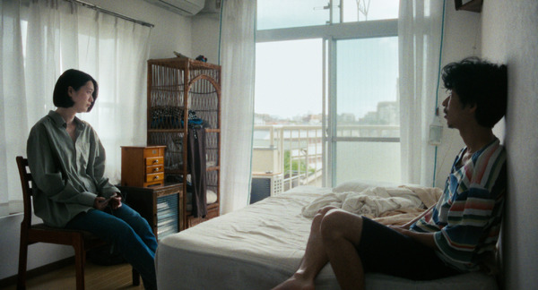 猫を放つ 6枚目の写真・画像