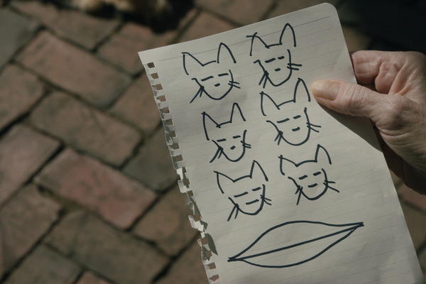 カミング・ホーム 9枚目の写真・画像