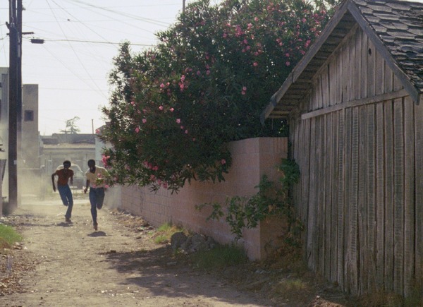 『マイ・ブラザーズ・ウェディング』©1983 Charles Burnett ©2025 Milestone Film & Video for MY BROTHER'S WEDDING
