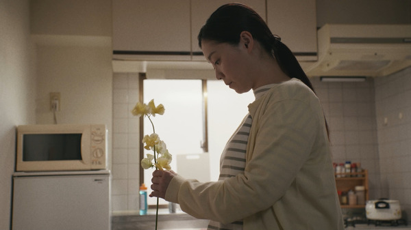 五月の雨 2枚目の写真・画像