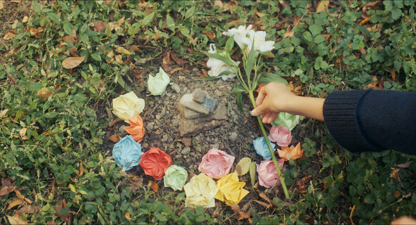 長浜 13枚目の写真・画像