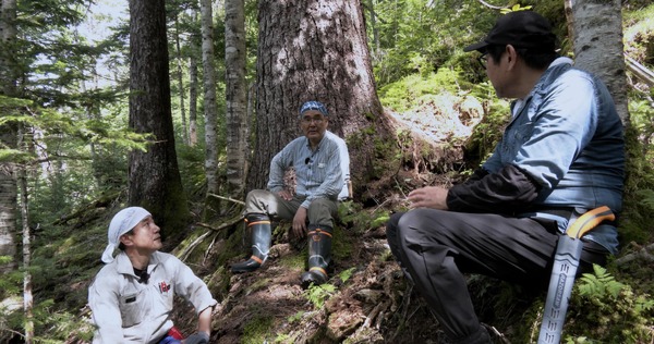 森に聴くListen to the Forest 13枚目の写真・画像