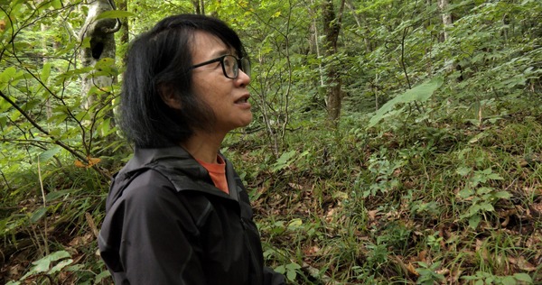 森に聴くListen to the Forest 14枚目の写真・画像
