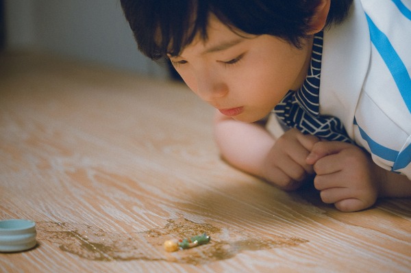 箱の中の羊 4枚目の写真・画像