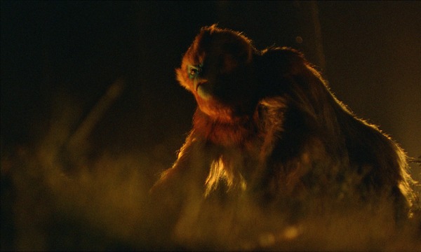 OCHI！ -オチ- 8枚目の写真・画像