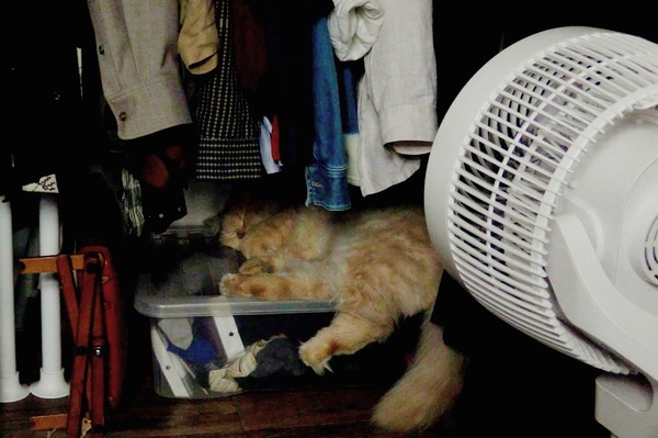 私たちの一日 11枚目の写真・画像