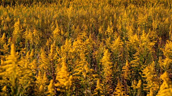 三角屋の交差点で 9枚目の写真・画像