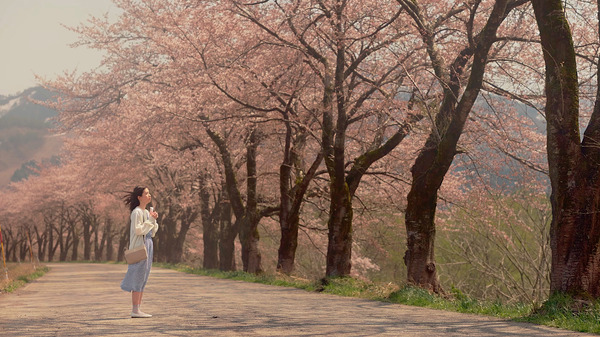 おばあちゃんの秘密 4枚目の写真・画像