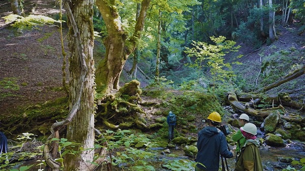 WITH 3枚目の写真・画像