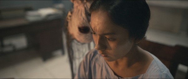 サトウキビは知っている 3枚目の写真・画像