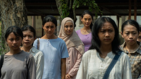 サトウキビは知っている 8枚目の写真・画像