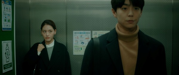 黴の花 2枚目の写真・画像