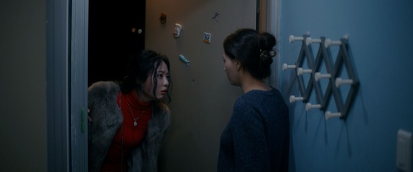 黴の花 11枚目の写真・画像