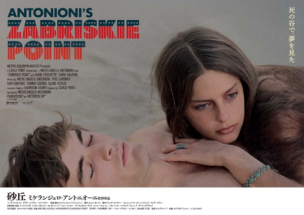 砂丘 2枚目の写真・画像